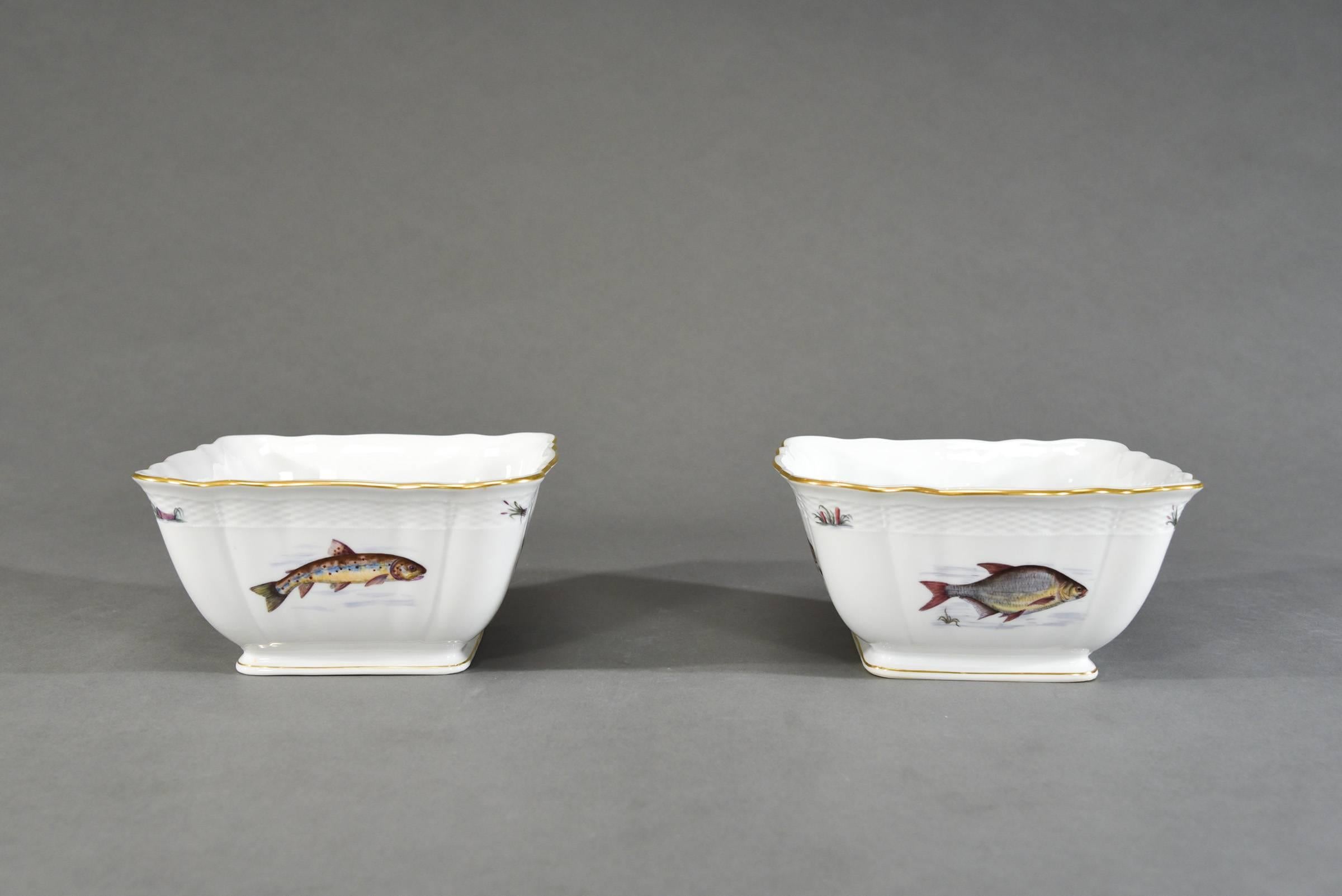 18 Nymphenburg Hand-Painted Fish Plates W/ Named Fish Platter & 2 Serving Bowls 2