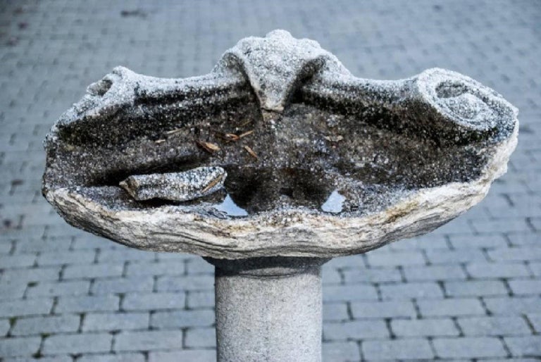 Antique cast stone and shell form birdbath. Great antique condition, nice wear and aged patina will add interest to any outdoor space.