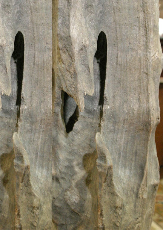 Skulptur aus organischem Naturholz im Angebot 4