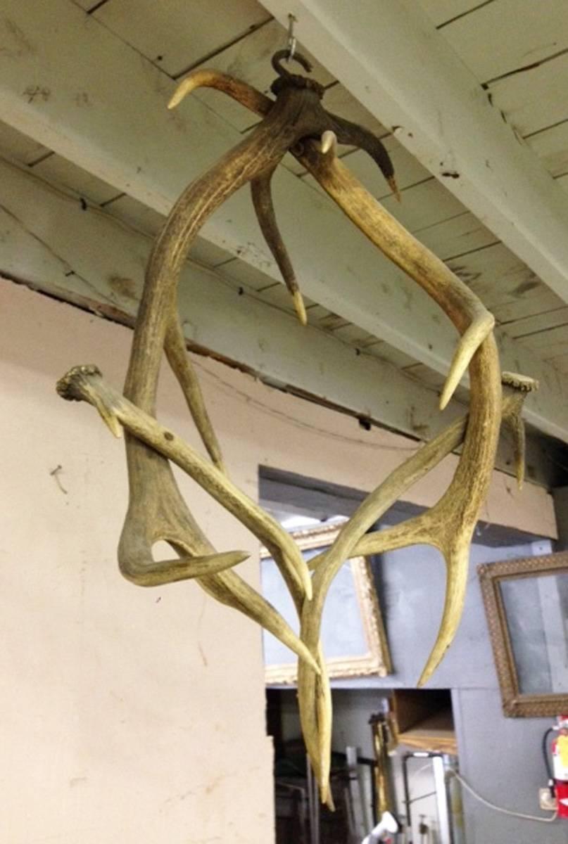 19th Century French Antler Chandelier In Good Condition In Sheffield, MA