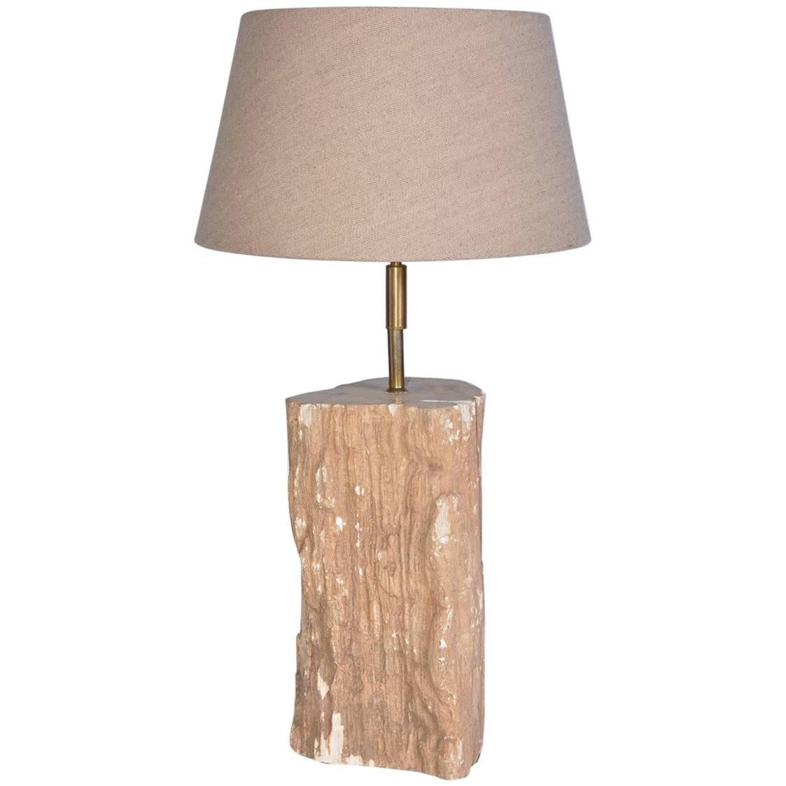 Lampe en bois pétrifié organique en vente