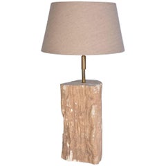 Lampe en bois pétrifié organique