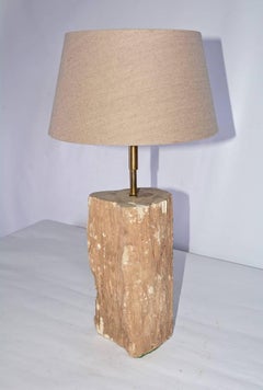 Lampada organica in Wood pietrificato