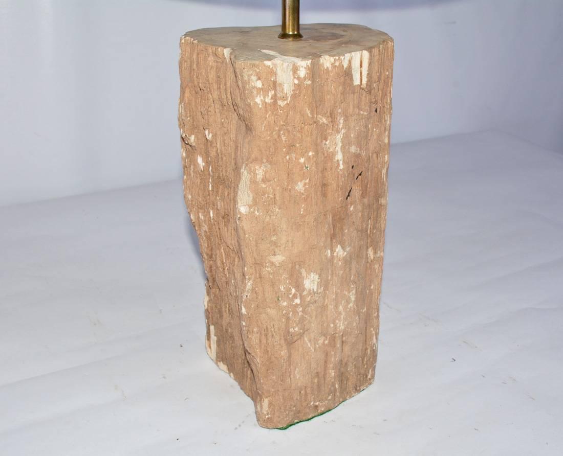 Organique Lampe en bois pétrifié organique en vente