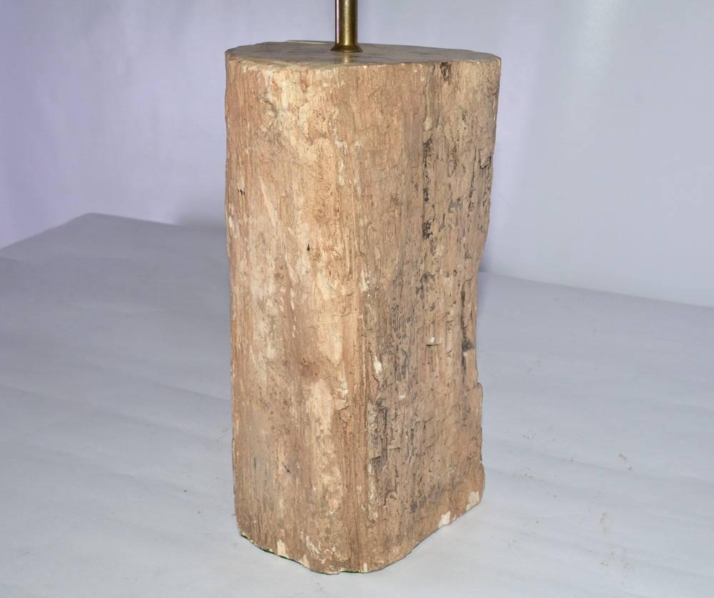 Américain Lampe en bois pétrifié organique en vente