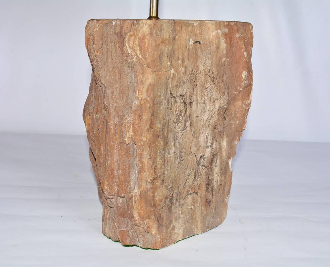 Organic Modern Contemporary Brown Petrified Wood Lamp For Sale