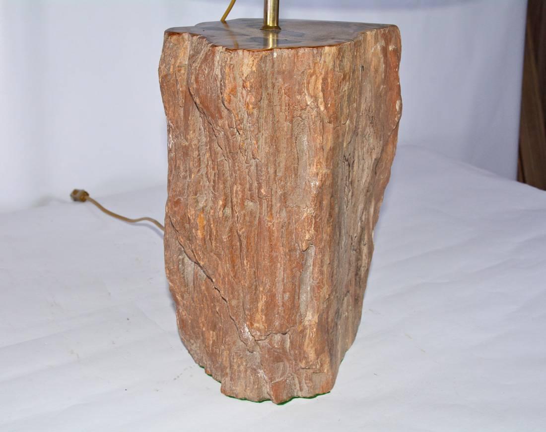 Hand-Crafted Contemporary Brown Petrified Wood Lamp For Sale