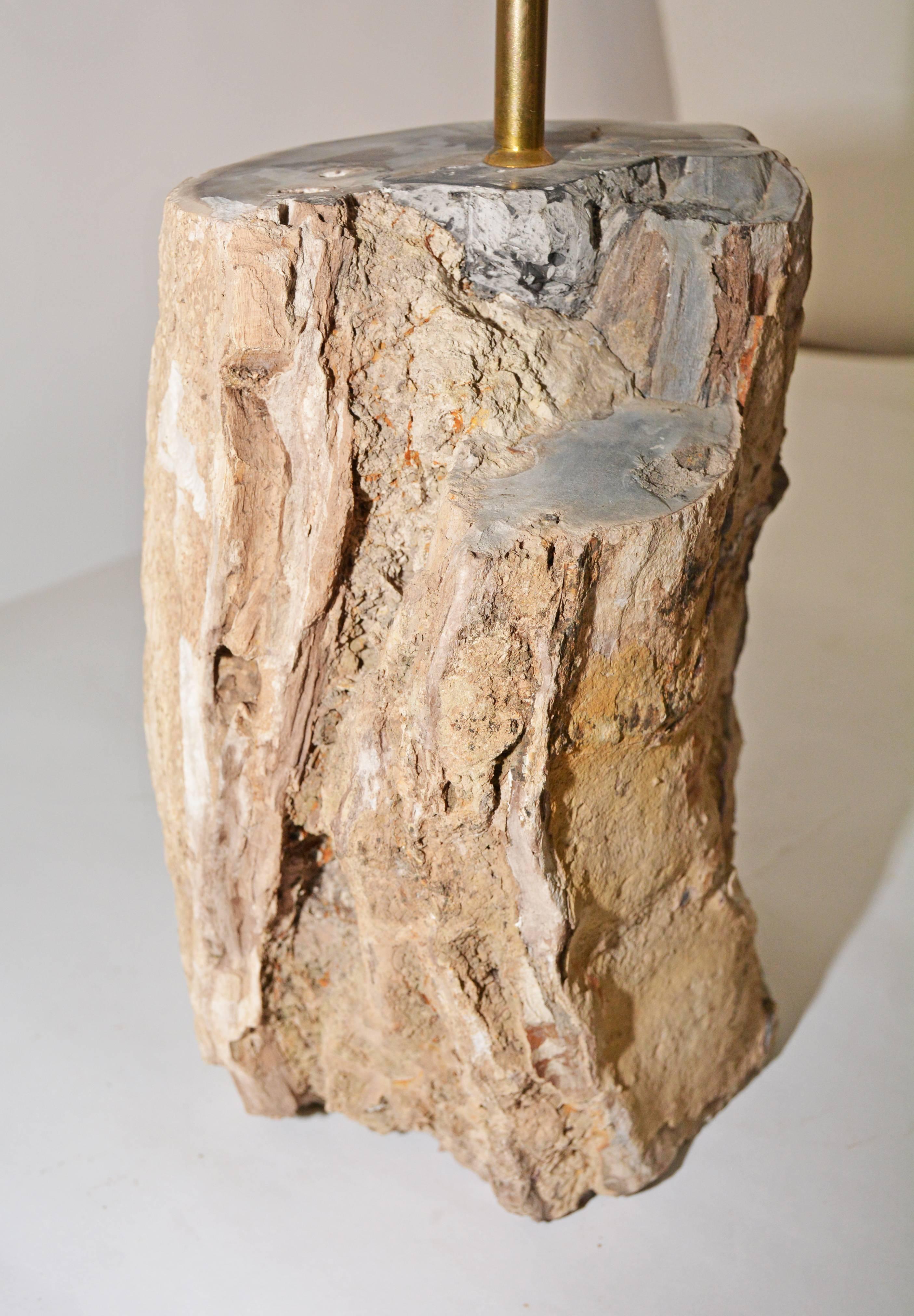 This somewhat cylindrical petrified wood lamp is topped by a charcoal gray linen shade with a white plastic liner and European mounting. Single socket electrified for US use. 
Petrified wood is a fossil. It is the result of a tree or tree-like