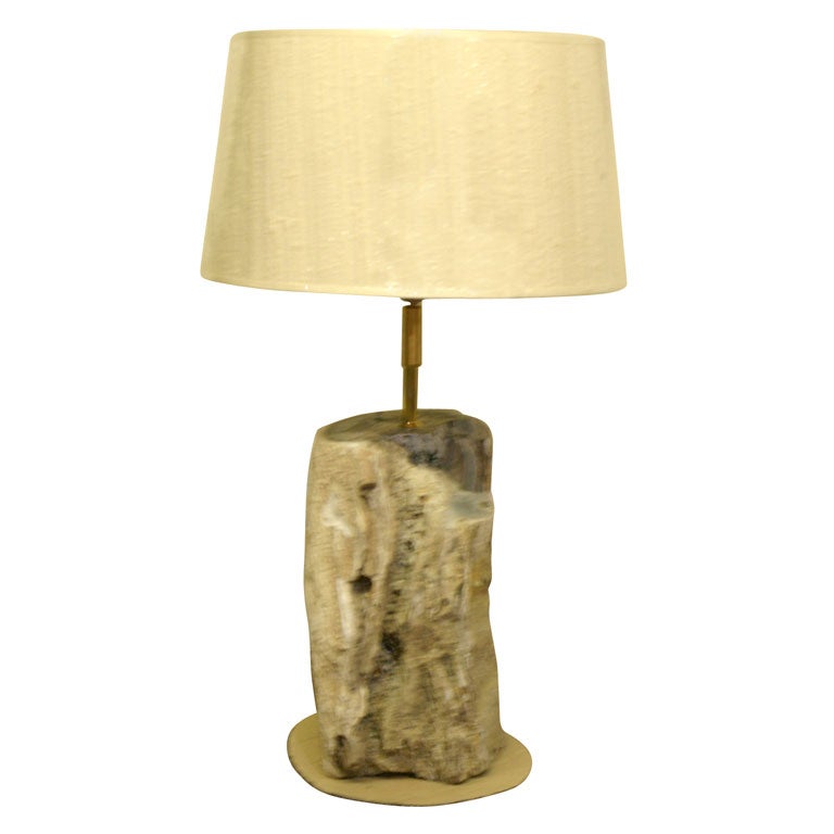 Lampe en bois pétrifié