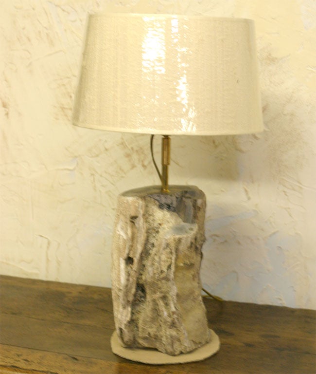 Base de lampe nouvellement fabriquée en bois pétrifié vieilli avec une texture et des détails magnifiques.