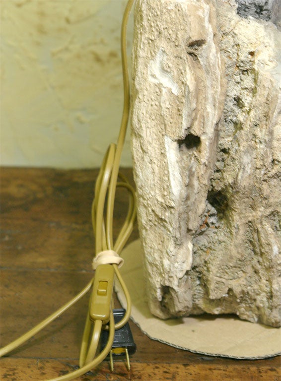 Asian Petrified Wood Lamp For Sale