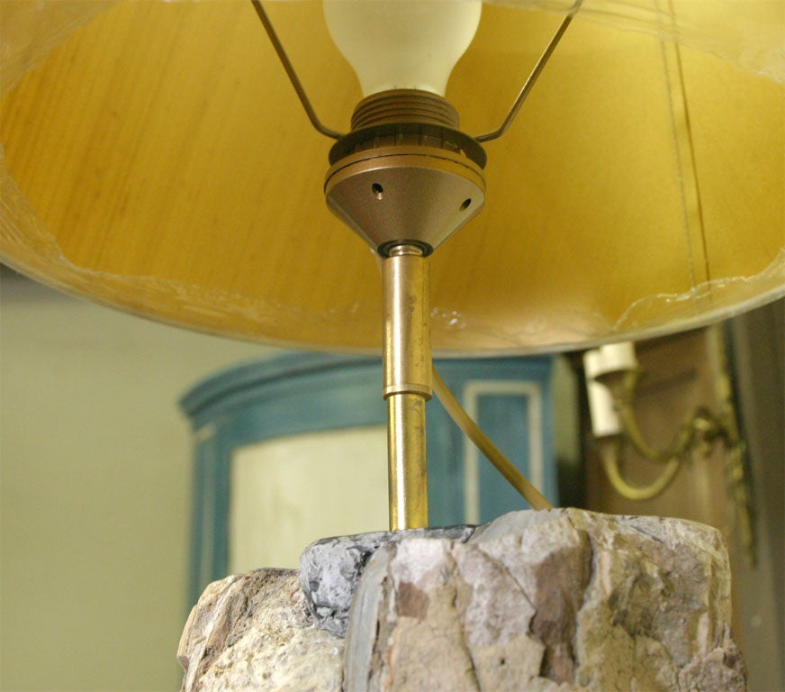 Contemporary Petrified Wood Lamp For Sale