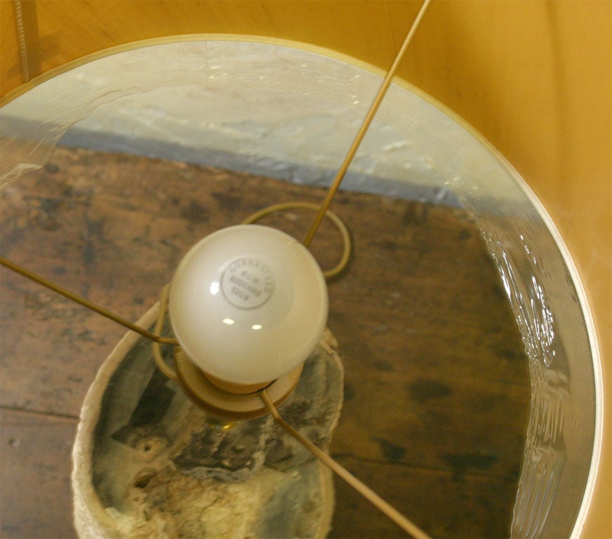 Petrified Wood Lamp For Sale 1