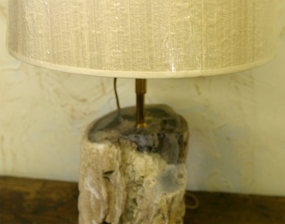 Petrified Wood Lamp For Sale 2