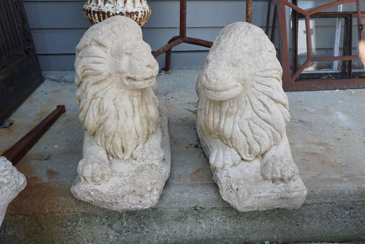 The charmingly hand-sculpted antique reclining lions face each other and have furry manes encircling their heads, as well as tails overlapping their back legs. Having an impressive size and demeanor, they could easily and gracefully flank the