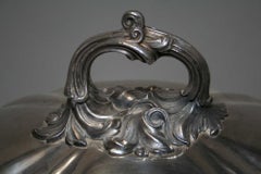 Large Dome Top Food Cover