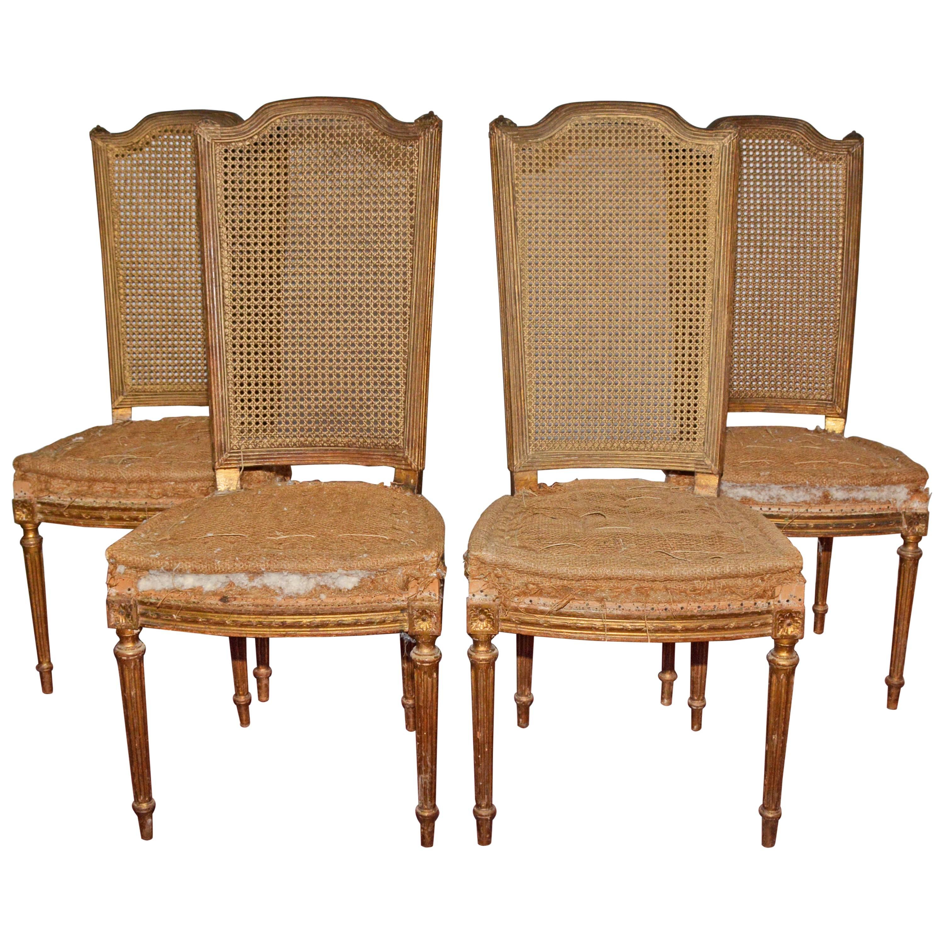 Four Vintage Louis XVI Style Dining Chairs For Sale