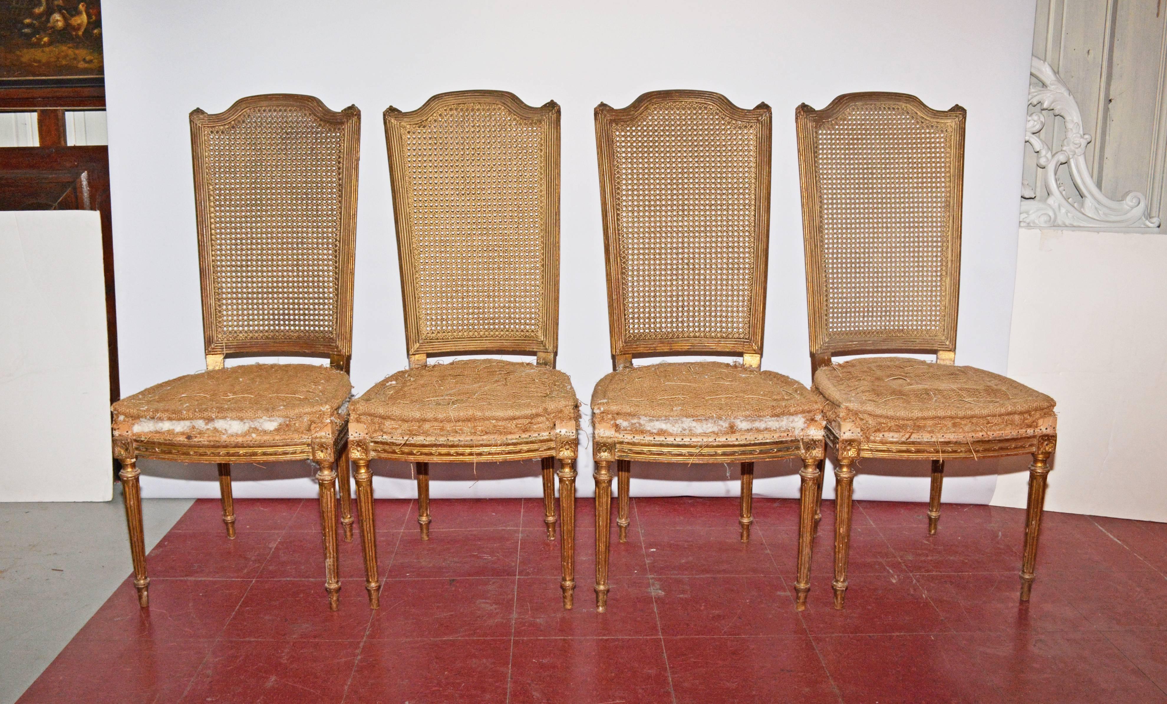 The four classic Louis XVI style dining chairs painted gold have fluted legs topped by squared rosettes, cane backs inset in ribbed frames. The seats have the underpinnings for the upholstery of your choice.