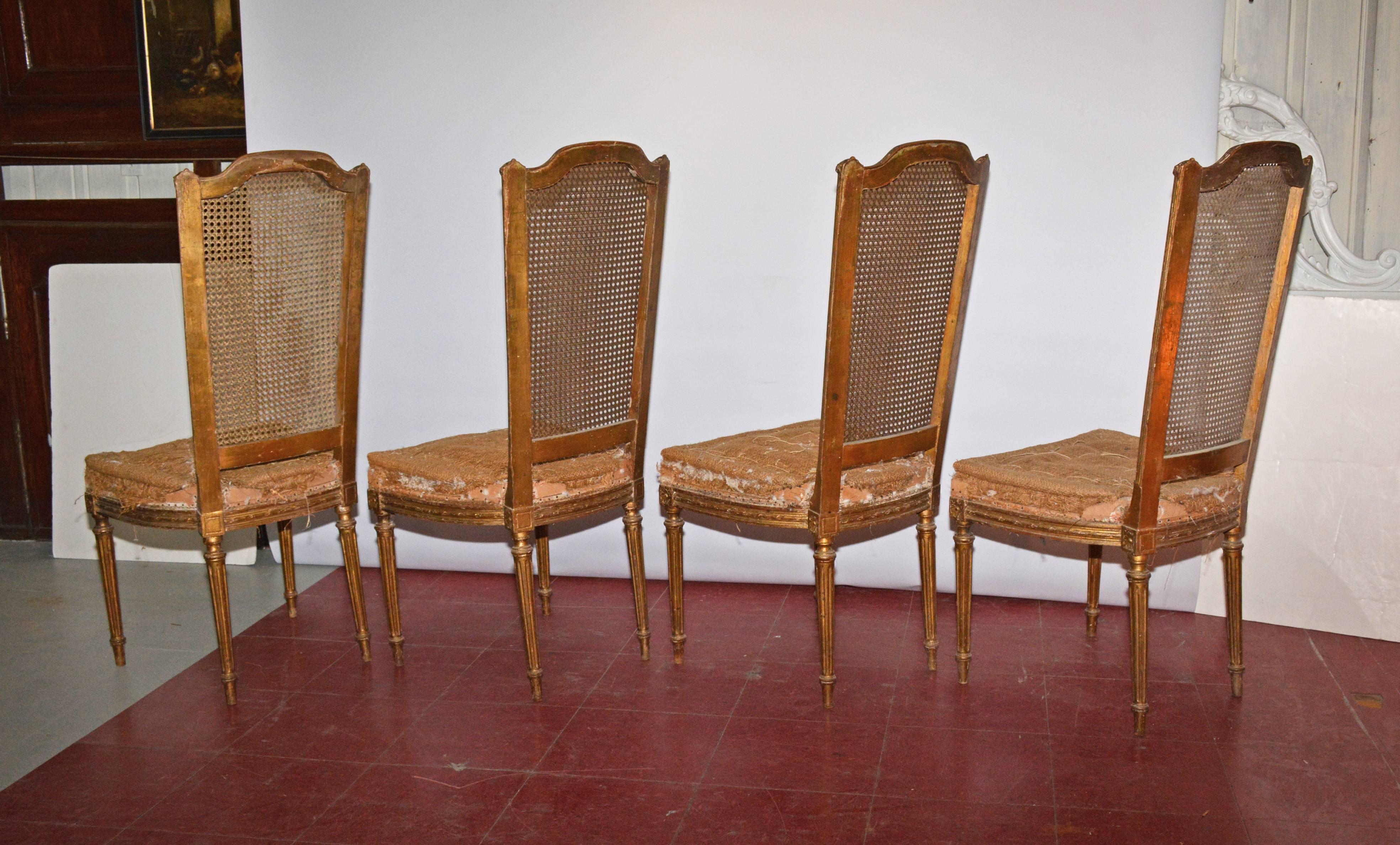 American Four Vintage Louis XVI Style Dining Chairs For Sale