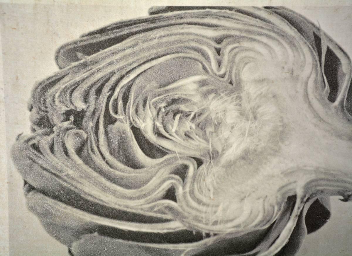 Caroline Kaars Sypesteyn of Berkshire Artisanal is the artist who has created this black-and-white photographic print on linen of a sliced artichoke. Titled 