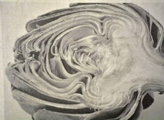 Contemporary Photograph of a Sliced Artichoke