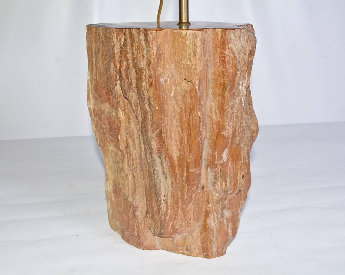 Lámpara Contemporánea de Madera Petrificada Marrón Estadounidense en venta