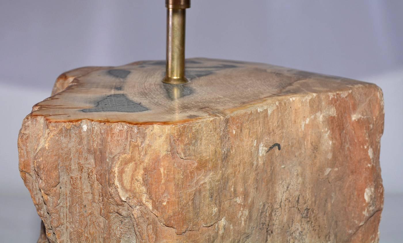 Lampe contemporaine en bois pétrifié marron Bon état - En vente à Sheffield, MA