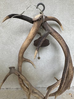 Antique French Antler Chandelier