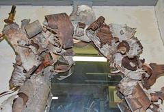 Rustic Curled Birch Bark Mirror