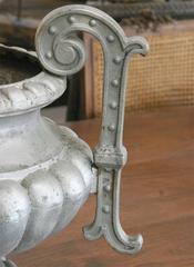 Pair of 19th Century French Garden Urn