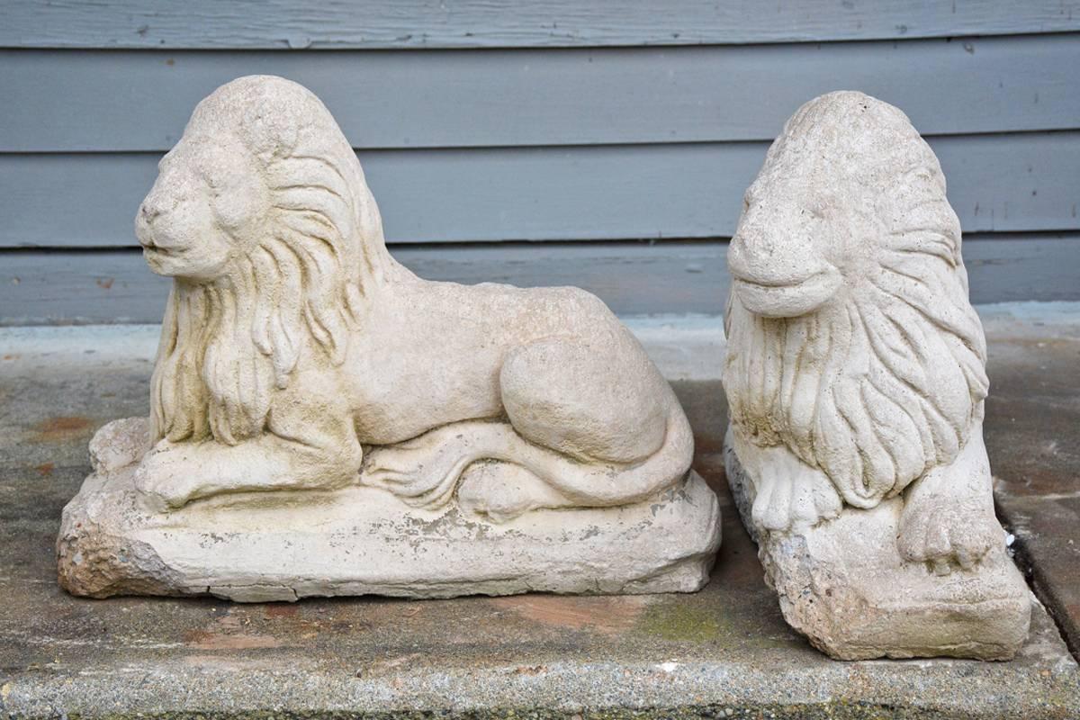 The pair of French hand-carved antique garden stone lions are crouching and are made of stone.

The dimensions are for the slightly larger of the pair.