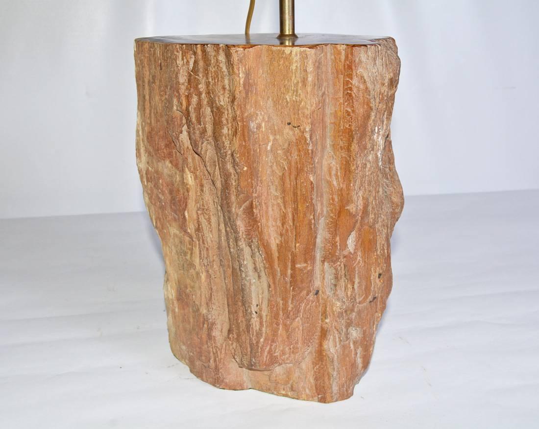 Zeitgenössische Lampe aus braunem versteinertem Holz in Braun (amerikanisch) im Angebot