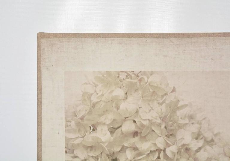 Caroline Kaars Sypesteyn of Berkshire Artisanal is the artist who has created this black-and-white photographic print on linen of hydrangeas. Titled 