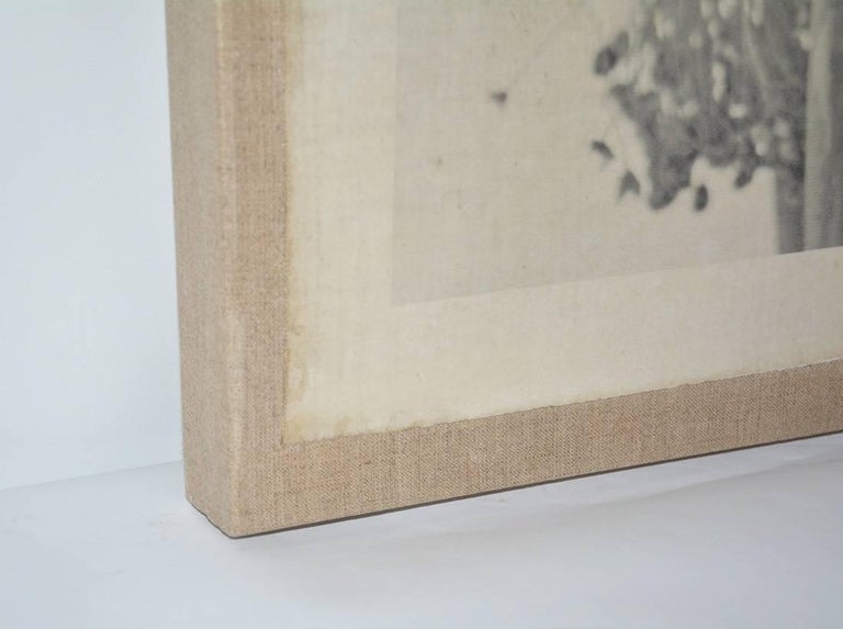 Contemporary Photograph of Onion Heads For Sale at 1stdibs