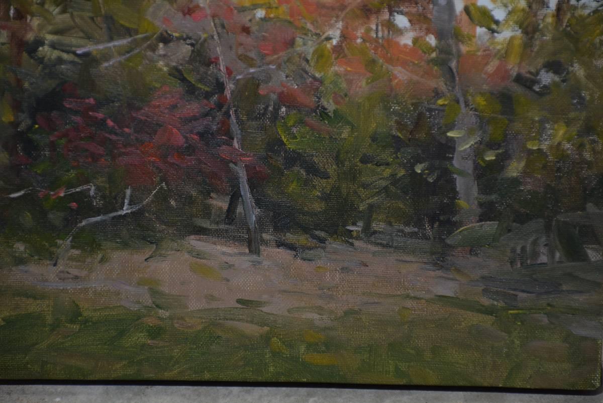 Expressionist Petite Red Maple For Sale