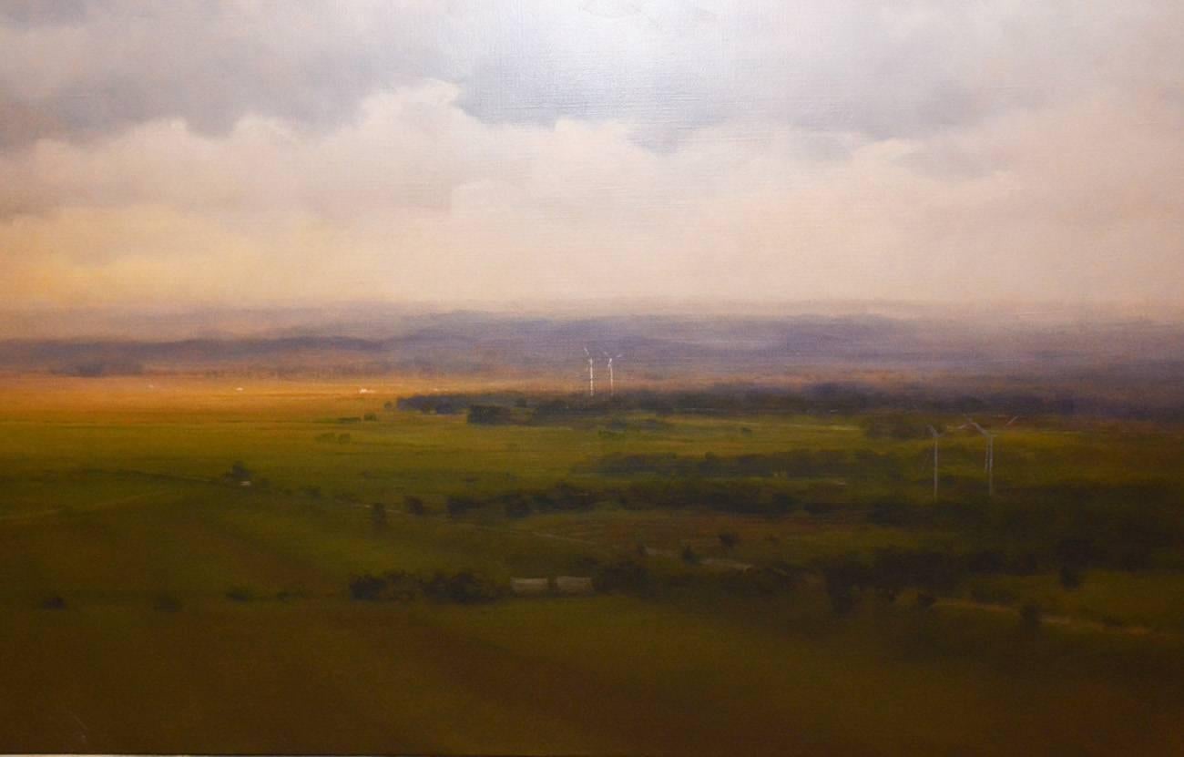 Figürlich, große Landschaft. Öl auf Leinwand des kolumbianischen Künstlers Carlos Nariño, der seit 1985 in Paris lebt und arbeitet. Dieses Werk entstand bei einem Besuch in den USA im Jahr 2009.

Ausgestellt wurden u.a.: Marlborough Gallery in