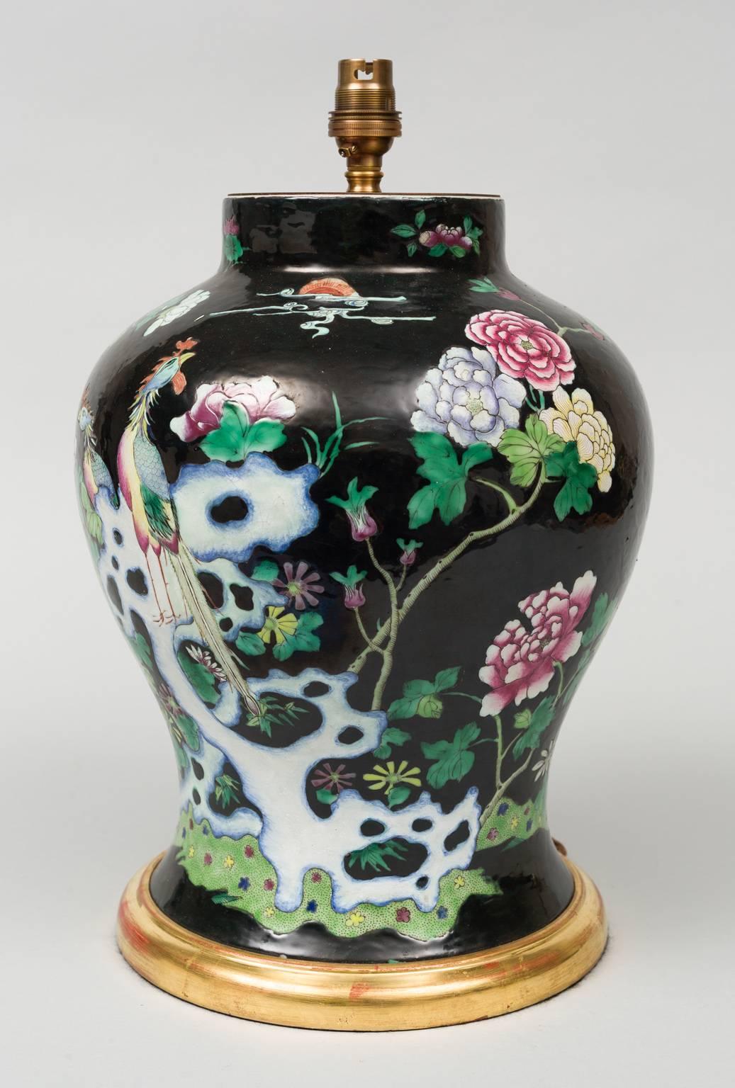 Chinese porcelain baluster-shaped famille noire vase lamped, finely decorated with a pair of phoenix birds perched on a white tree-like stump with chrysanthemums and other floral designs in pinks, blues, greens and yellow on a black ground, mounted