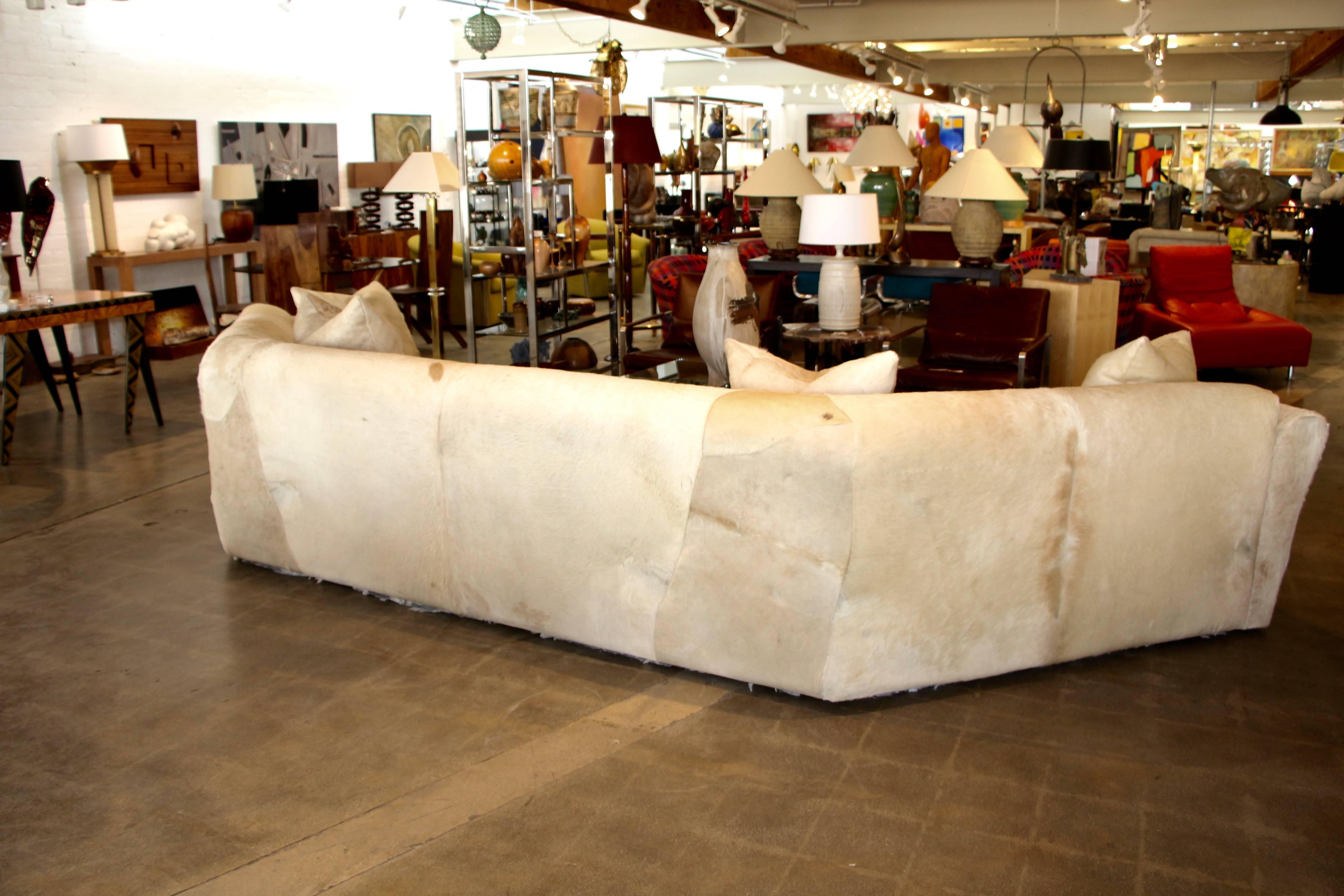 A pretty spectacular large cowhide upholstered curved sofa, that is one piece. It came out of the prestigious Pond Estate of Palm Springs. Probably designed by the legendary Interior Designer Steve Chase. The sofa is really comfortable and comes