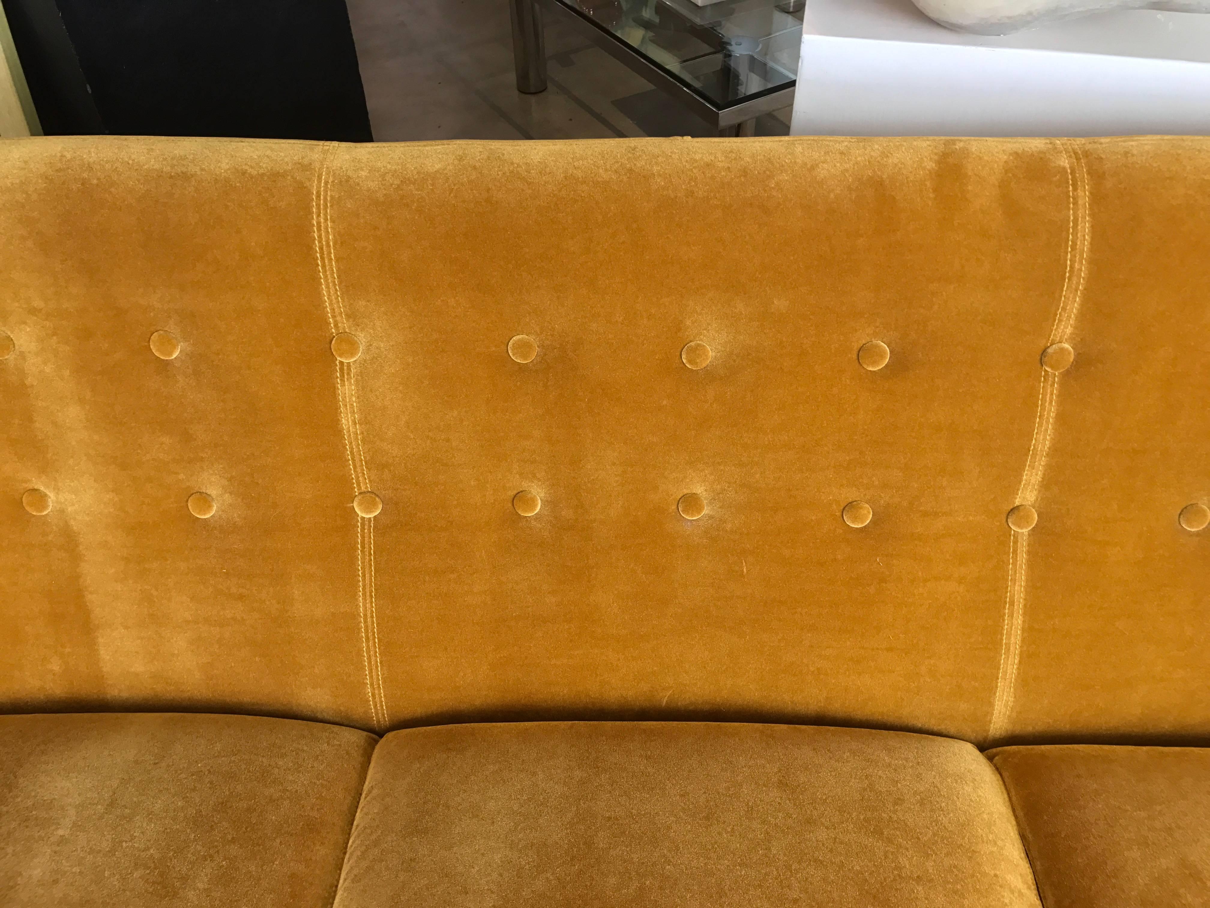 20th Century Stylish Yellow Wool Velvet Curved Sofa with Oak Legs