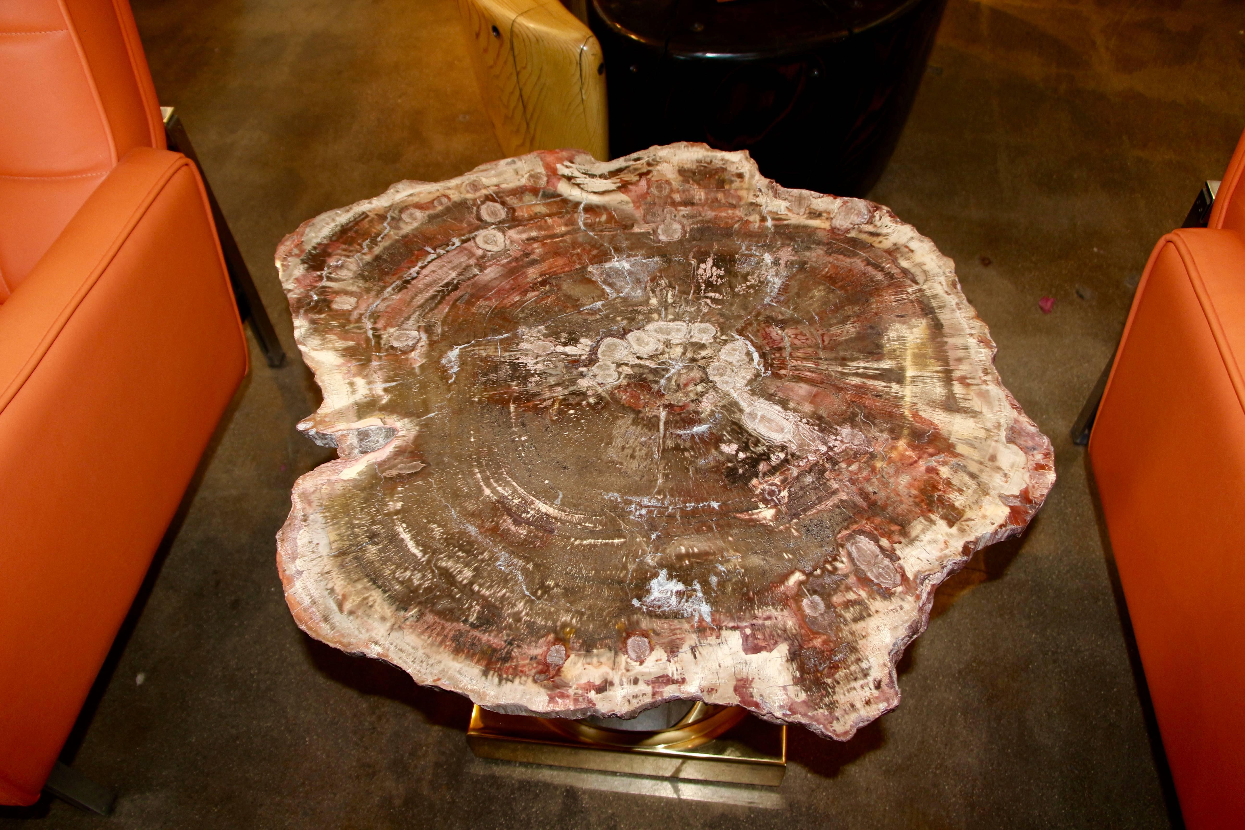 American Beautiful Arizona Petrified Wood Table