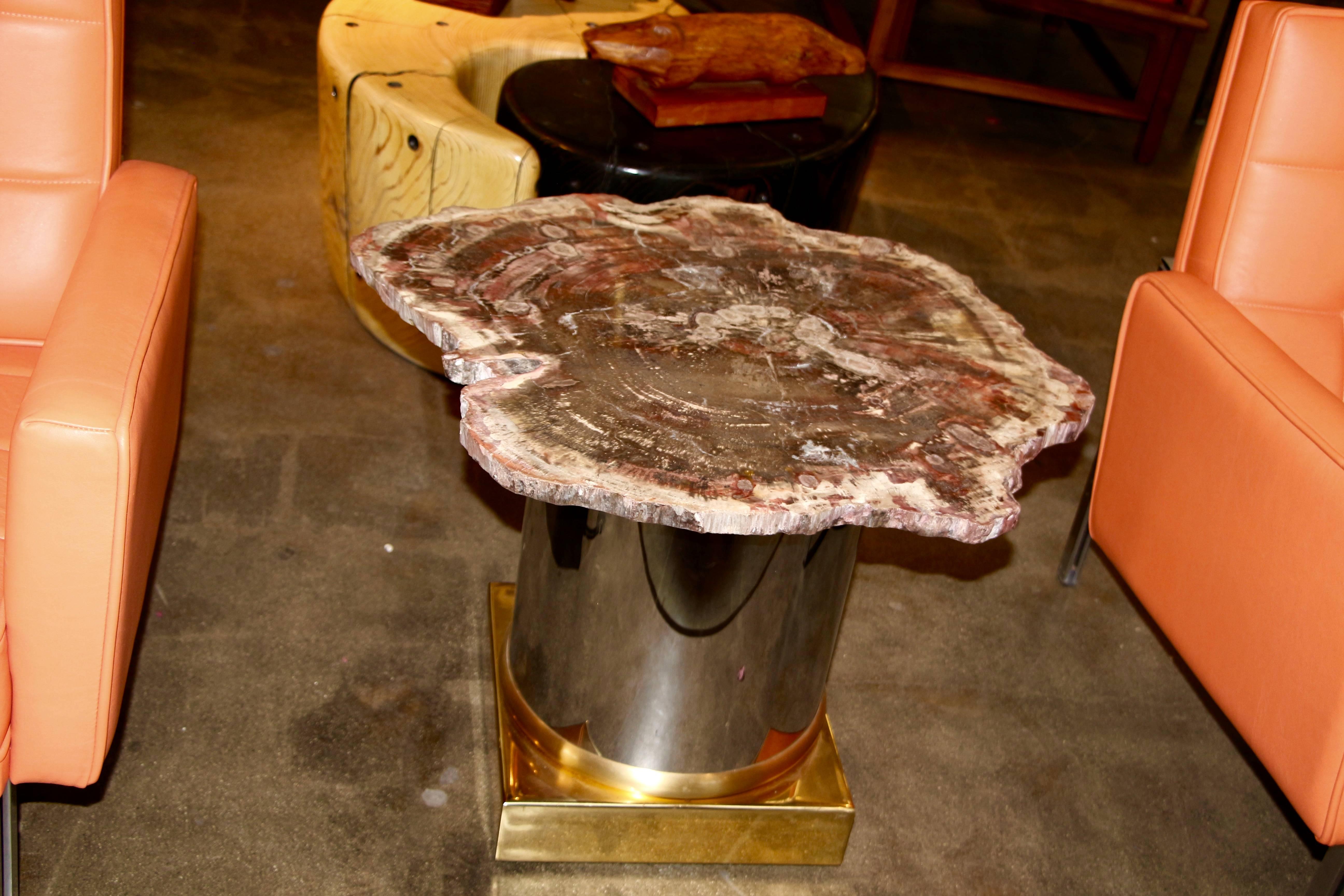 20th Century Beautiful Arizona Petrified Wood Table