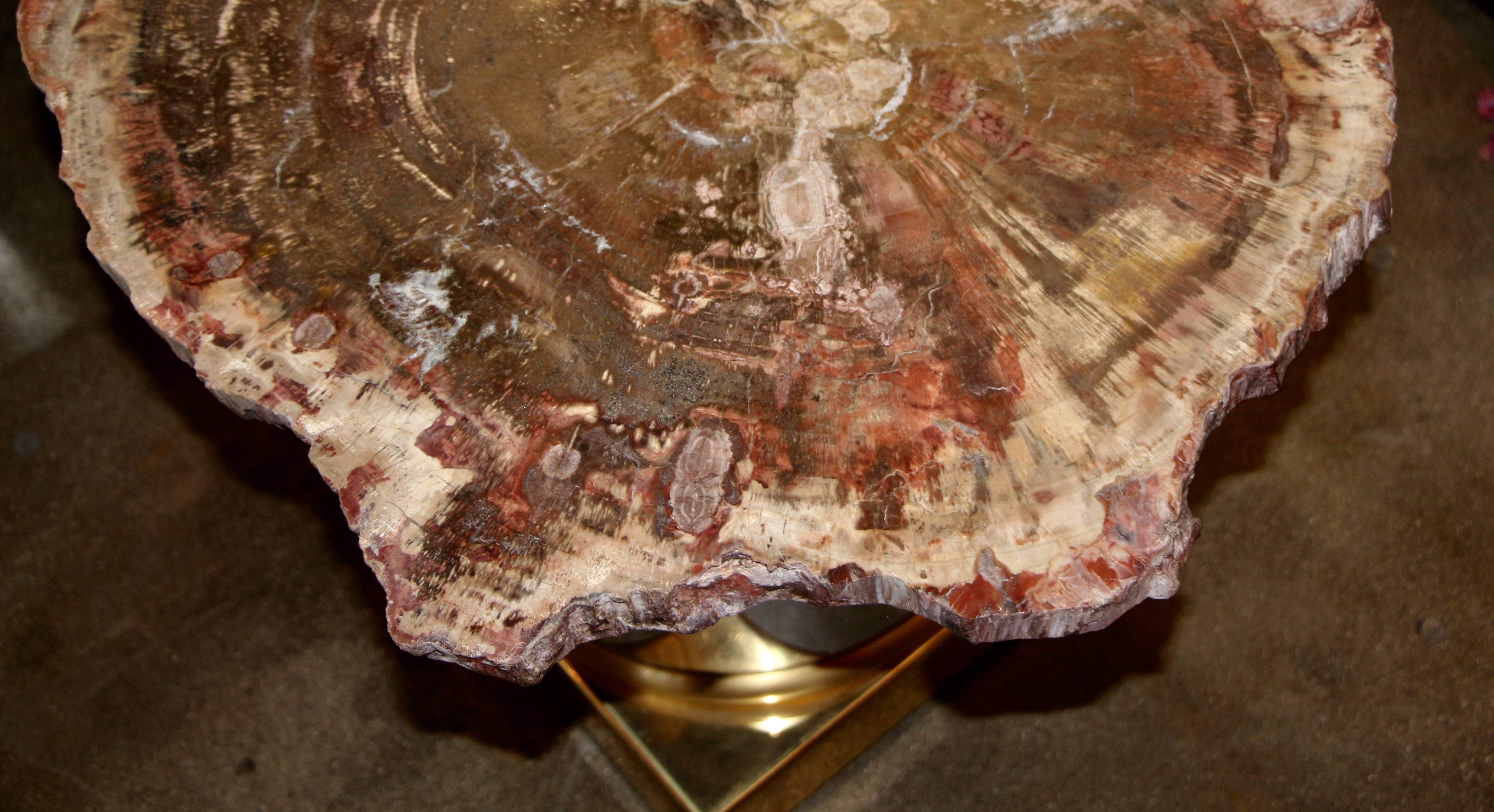 Beautiful Arizona Petrified Wood Table 1