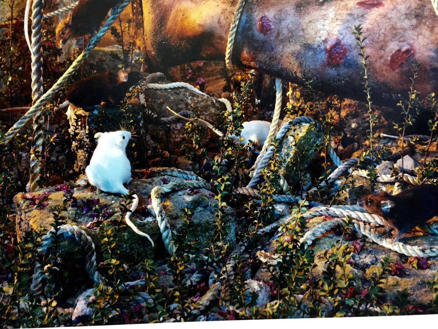 Gregory Crewdson 1990s Photograph Natural Wonder Series