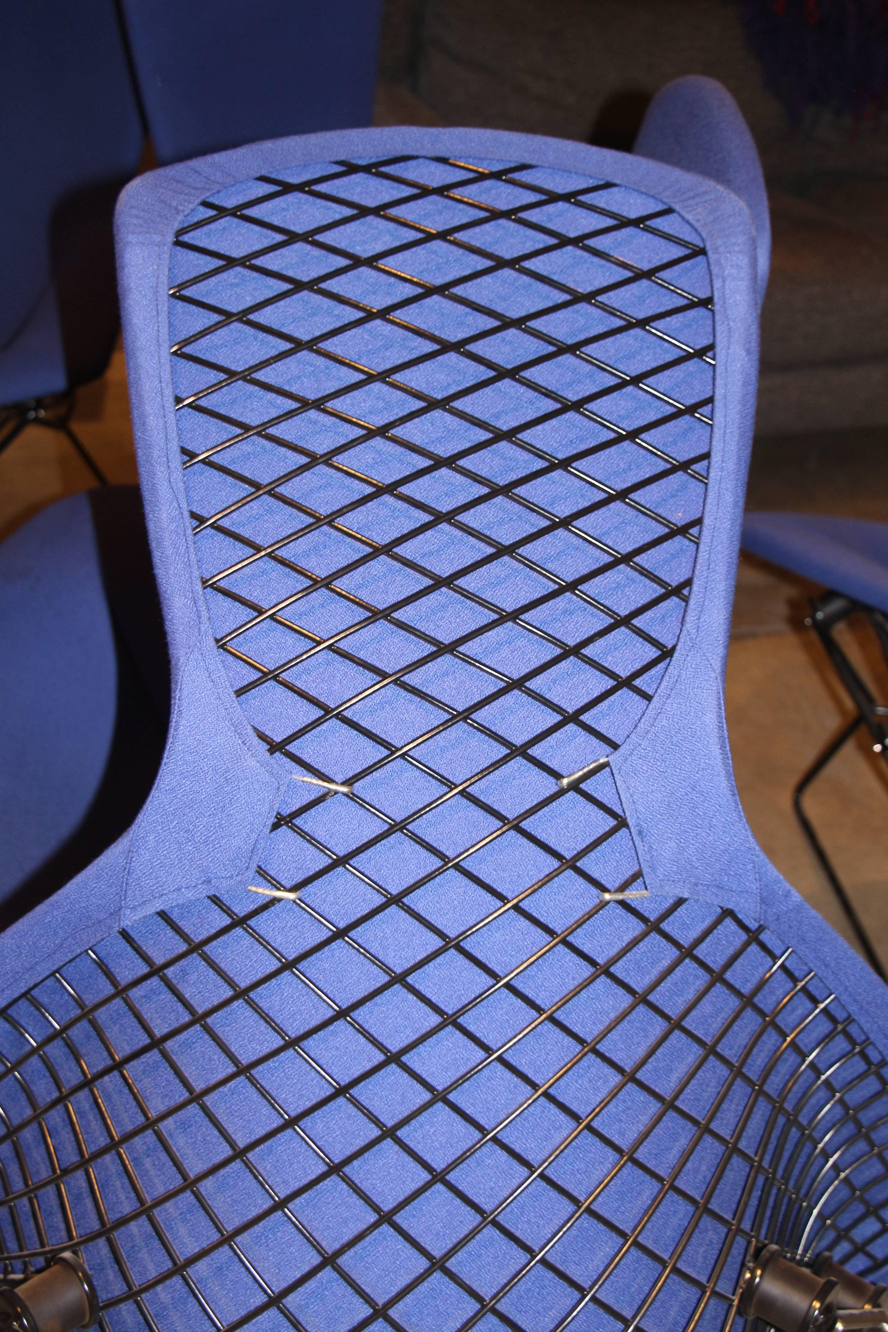 3 Harry Bertoia for Knoll Bird Chairs in Periwinkle Blue 3