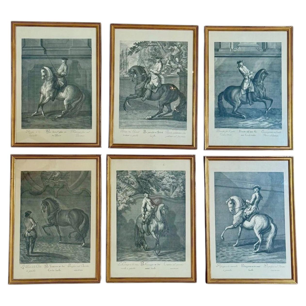Johann Elias Ridinger (tedesco, 1698–1767). Set da sei; Litografie equestri