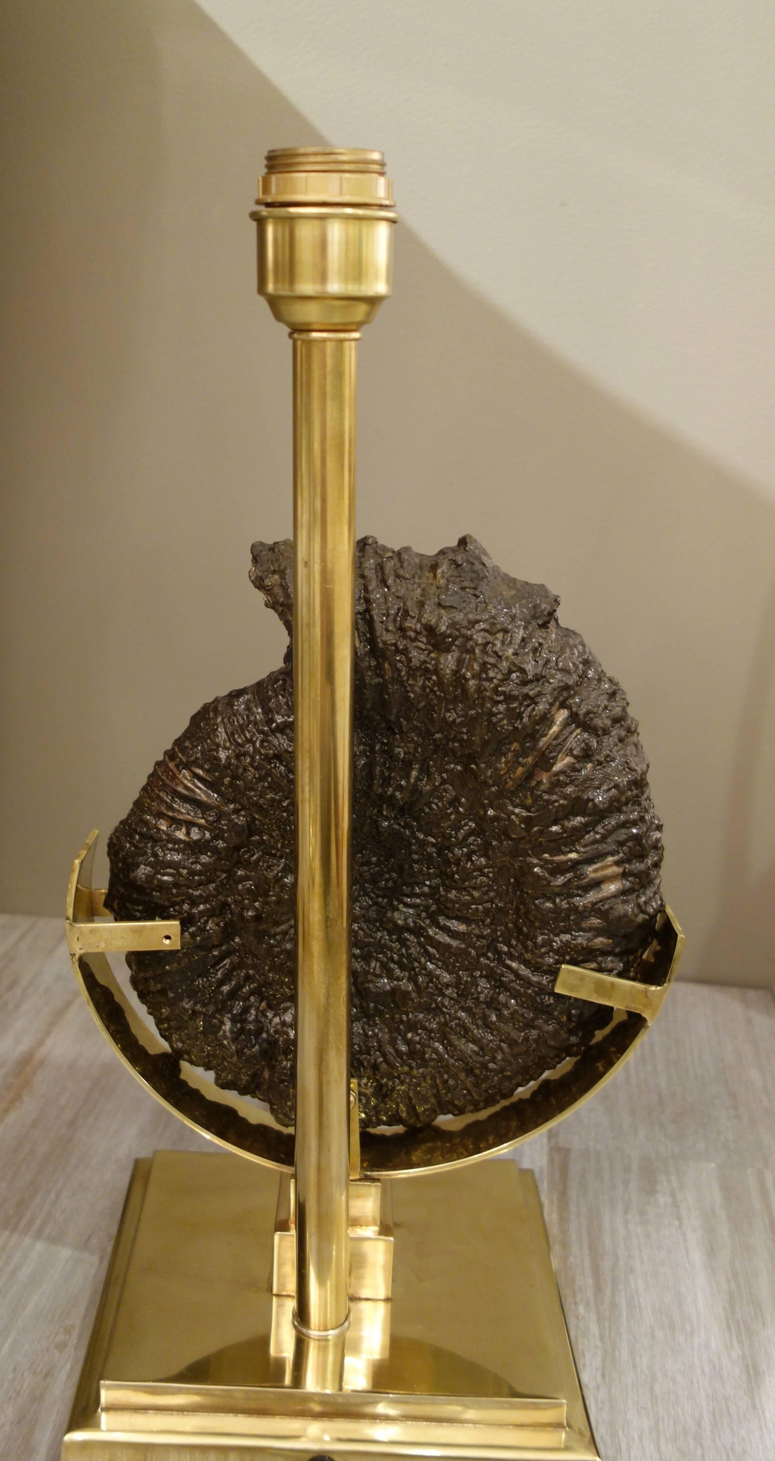 Pair of Dark Charcoal Gray and Gold Polished Ammonite Table Lamps on Brass Bases 1