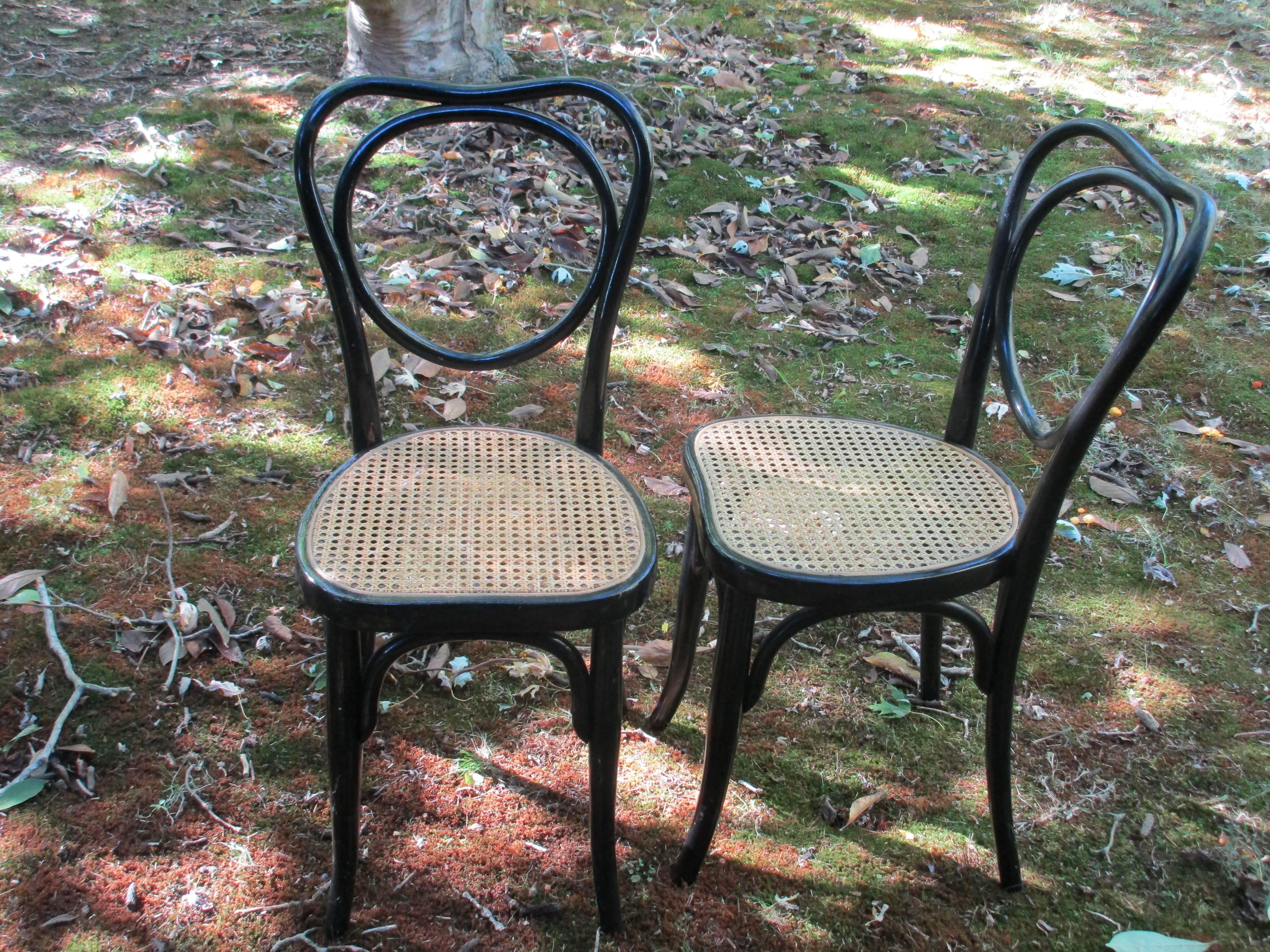 Twenty four available J J Kohn 19th century Austrian bentwood ebonized chairs from the Estate of Billy Wilder can be sold in a set of six or eight

caning has been replaced.