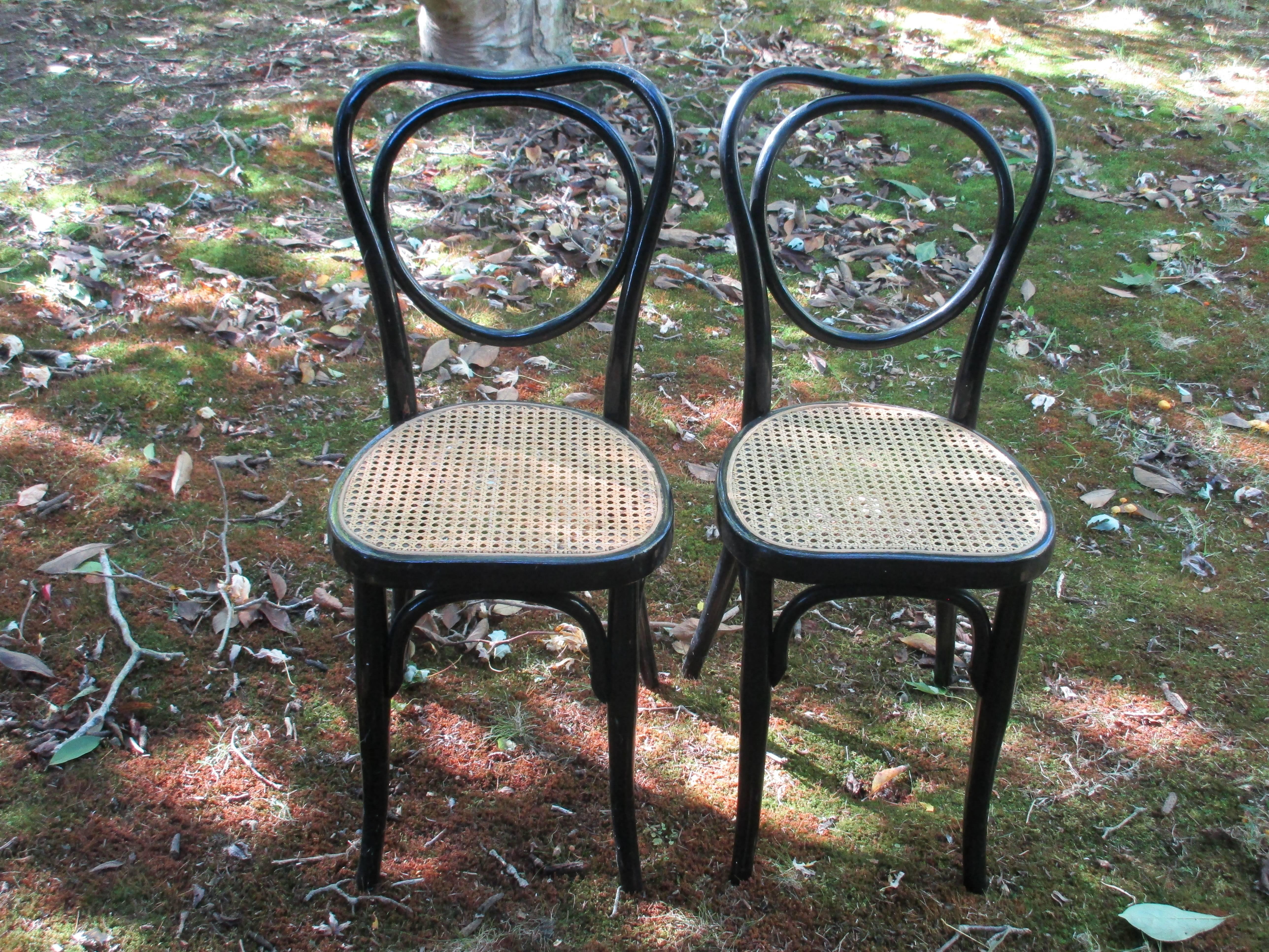 Late 19th Century J J Kohn Bentwood Ebonized Chairs, 19th Century Austria For Sale