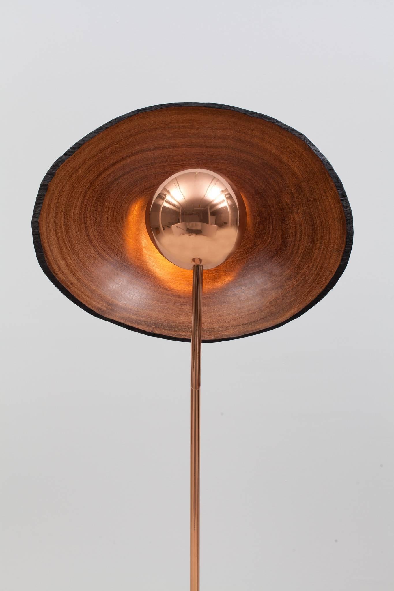 The Cantante floor lighting by Brazilian designer Claudia Moreira Salles is made from fallen native Brazilian tree trunks, every piece is one-of-a-kind. The light reflected on the wood´s surface radiates a soft, warm glow.

Metal: Copper finish