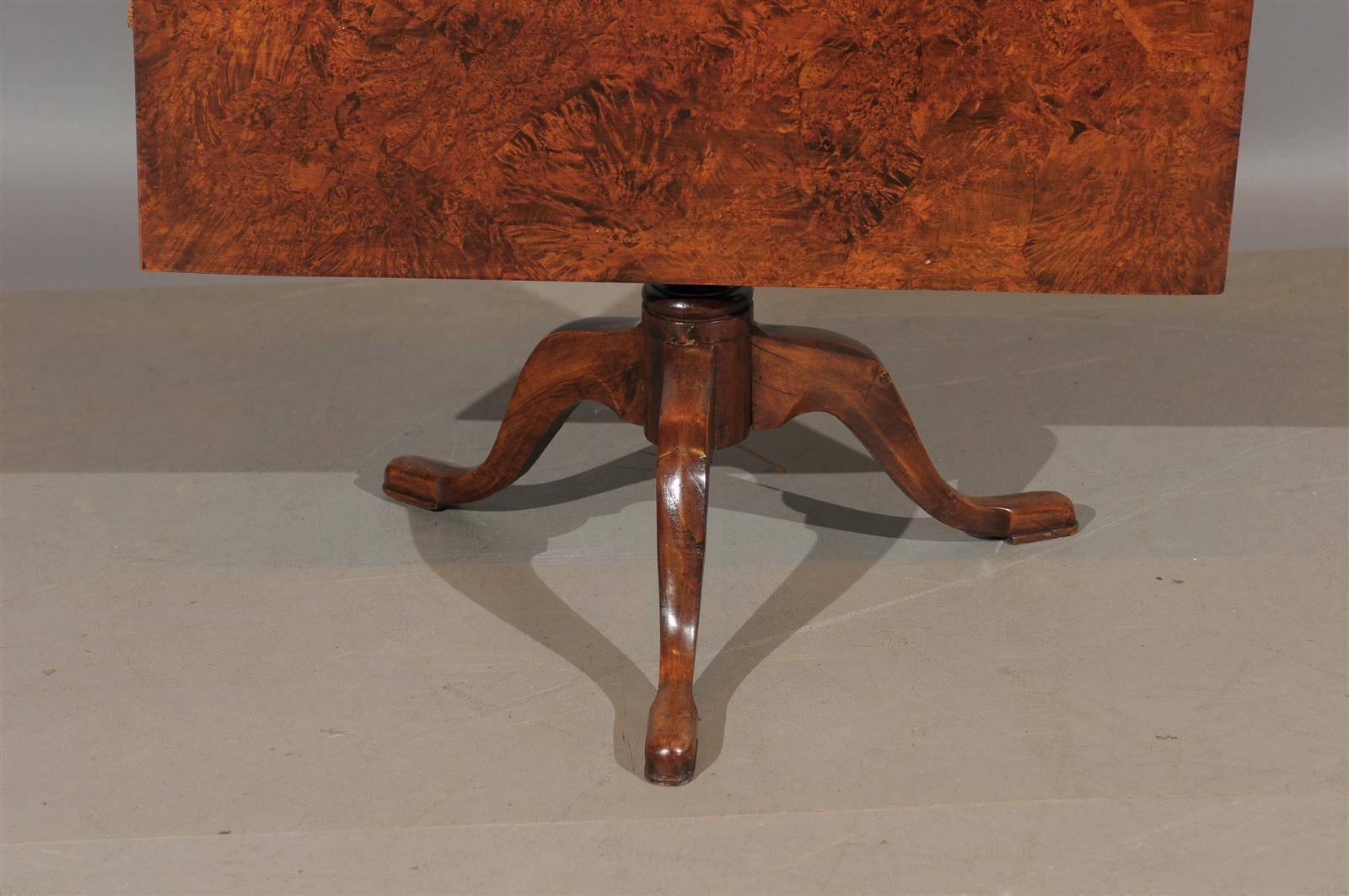 Swedish Tilt-Top Table in Burled Wood, circa 1800-1820 5